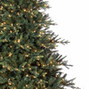 10' Geneva Fir Tree ColorChange LED