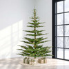 5' Scandinavian Fir Tree w/PP - Clear Micro LED 