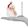 Night-Before-Christmas-Santa-Ornament-alt-002.JPG