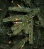 5' Stockton Spruce-Clear 