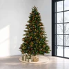 7.5' Stockton Spruce-Multi 