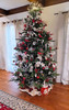 7.5' Western Balsam Tree - Unlit