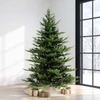 7.5' Western Balsam Tree - Unlit 