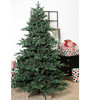 7' Mountain Frasier Tree - Unlit