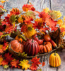 Pumpkin-and-Gourd-Assortment-alt-004.JPG