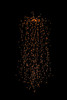 LED-Micro-Big-Seed-Waterfall-Orange-Lights-main-001 (2).jpg