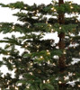 9' Bedford Balsam Tree - Clear LED 