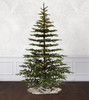 9' Bedford Balsam Tree - Clear LED 