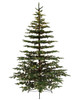 9' Bedford Balsam Tree - Clear LED 