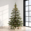 9' Bedford Balsam Tree - Clear LED 