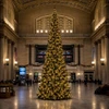 16' Slim Tower Tree - Clear LED 