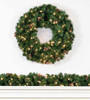 24" Scottsdale Spruce Wreath - Clear LED 