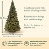 14' Tower Tree complete kit - Clear LED