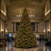16' Tower Tree complete kit - Clear LED 