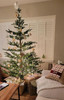 Scandinavian Fir 