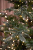 Scandinavian Fir 