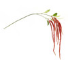 Amaranthus Stem 53.25"H Green and Pink  (Set of 4)