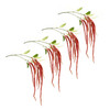 Amaranthus Stem 53.25"H Green and Pink  (Set of 4)