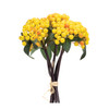 Berry Bundle 11"H Yellow and Green  (Set of 2)