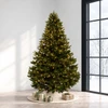 6.5' Ashton Spruce Tree-ColorChange 3mm LED