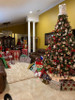 7.5' Ashton Spruce Tree-ColorChange 3mm LED