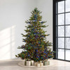7.5' Enchanted White Spruce Tree-ColorChange 3mm LED