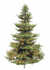 6.5' New Haven Fir Tree-ColorChange 3mm LED