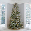 7.5' Frosted Norfolk Pine Tree - CLEAR 5mm LED