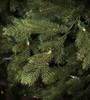 6.5' Slim Wexford Spruce Tree-ColorChange 3mm LED 6.5' Slim Wexford Spruce Tree-ColorChange 3mm LED
