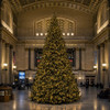 24' Tower Tree complete kit - Clear LED (Pre-Order For 2027 Season)