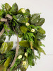 30" Green Magnolia Leaf & Norfolk Wreath w/Natural Touch Cream Tulips & Bow