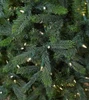 9' Claradon Pine Tree-ColorChange 3mm LED PowerPole