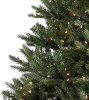 10' Claradon Pine Tree-ColorChange 3mm LED PowerPole