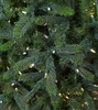 16' Claradon Pine Tree-ColorChange 3mm LED PowerPole