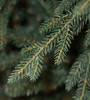 7.5' Cumberland Fir Tree-ColorChange 3mm LED PowerPole