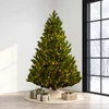 9' Deluxe Brighton Pine Tree-ColorChange 3mm LED PowerPole