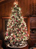 7.5' Stockton Spruce Tree-ColorChange 3mm LED PowerPole