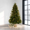 10' Stockton Spruce Tree-ColorChange 3mm LED PowerPole