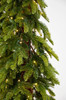 5' Imperial Alpine Tree-CLEAR 3mm LED