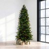 6.5' Slim Anderson Fir Tree-ColorChange 3mm LED PowerPole