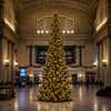 20' Slim Tower Tree-RGB LED