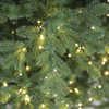 Prestige Pine