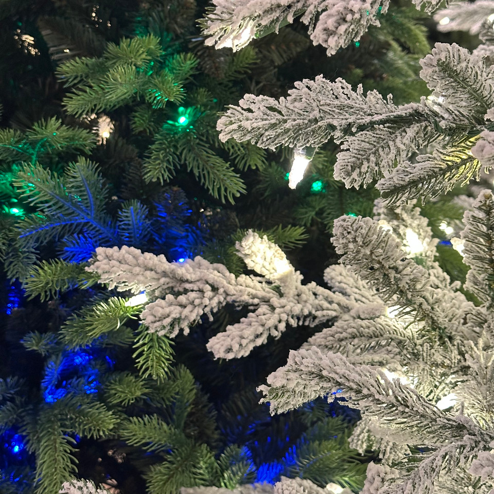 Christmas Tree Lighting - What You Need to Know Christmas Tree Lighting - What You Need to Know