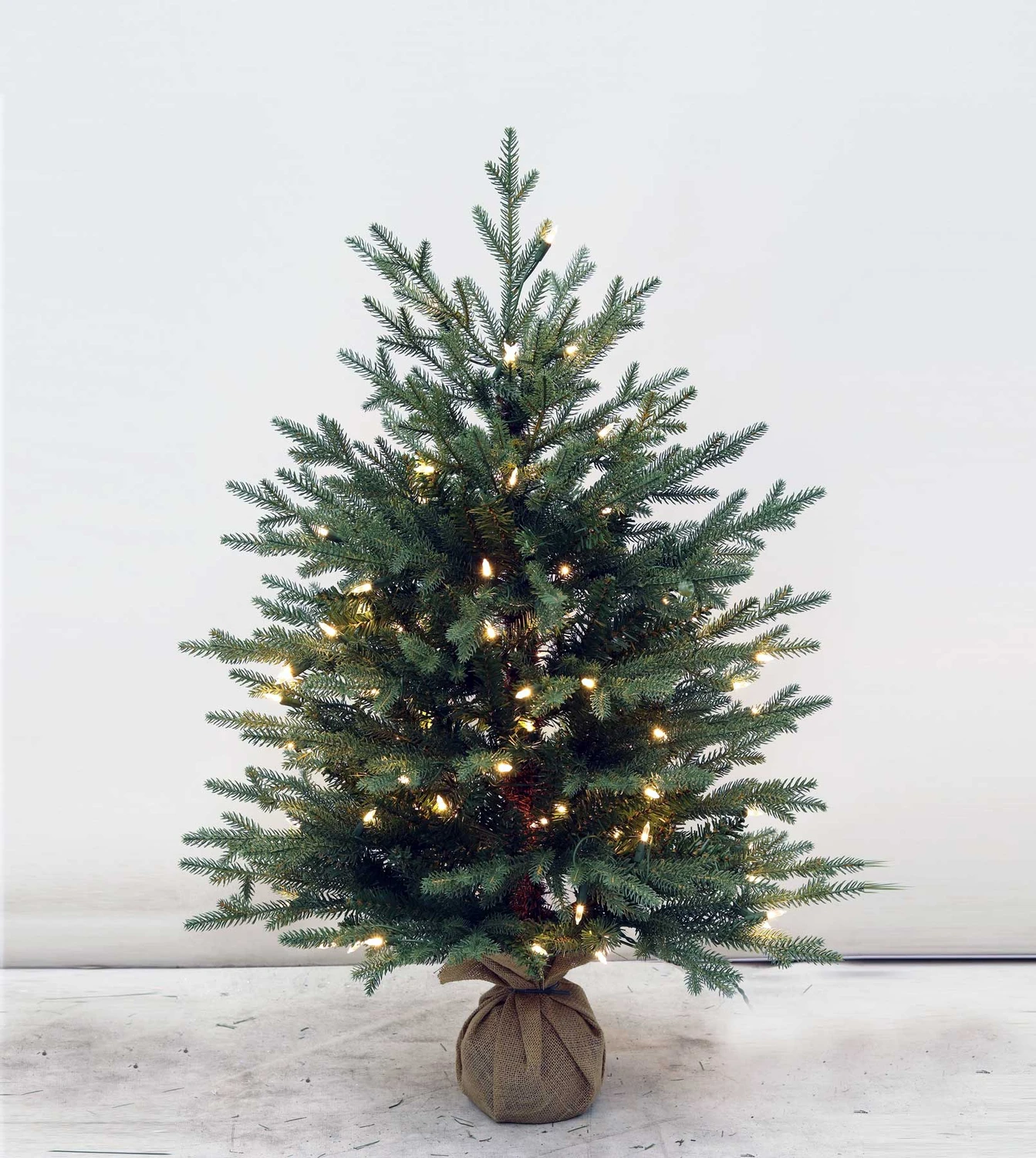 3' Cumberland Fir Tree