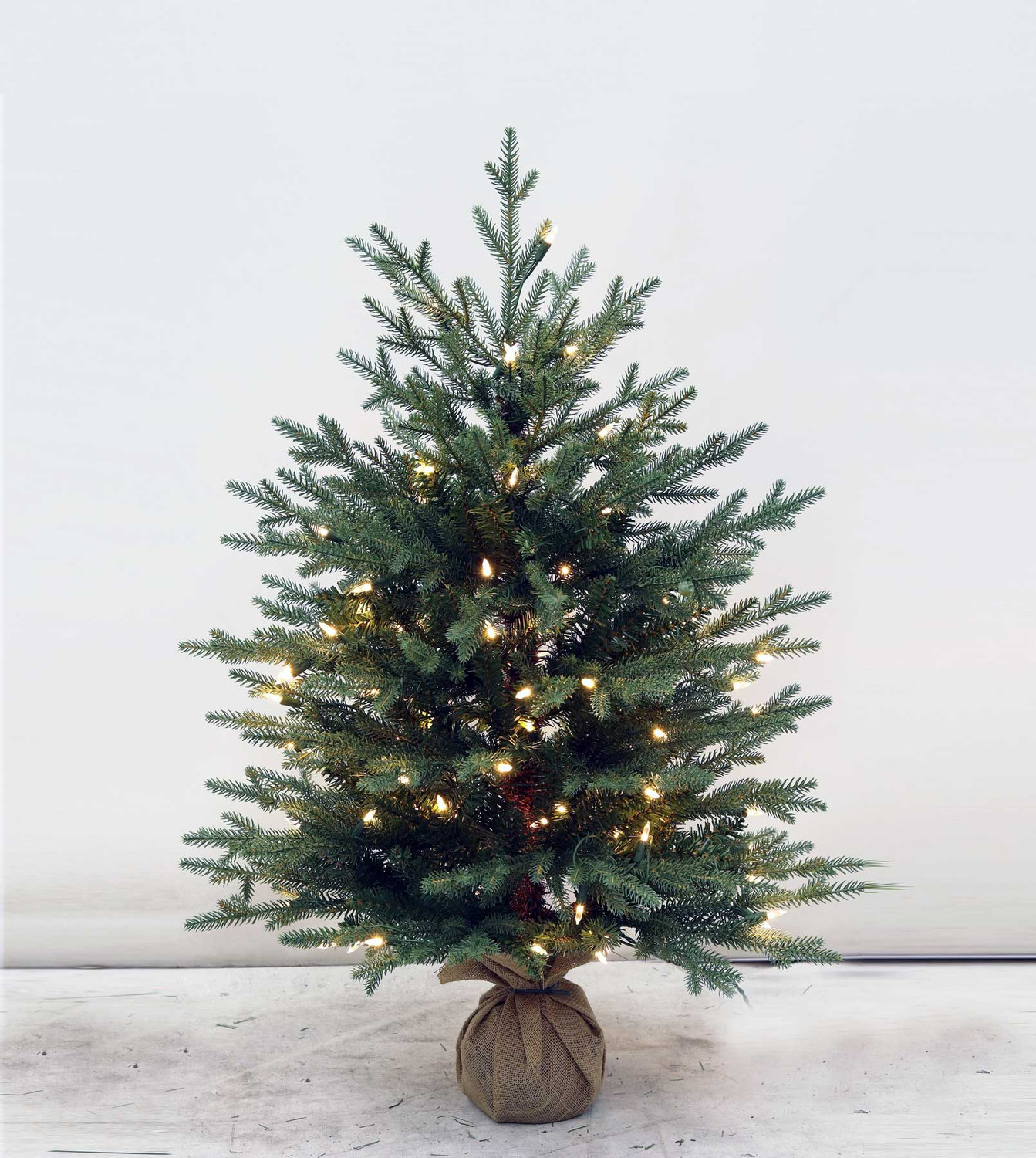 3' Cumberland Fir Tree