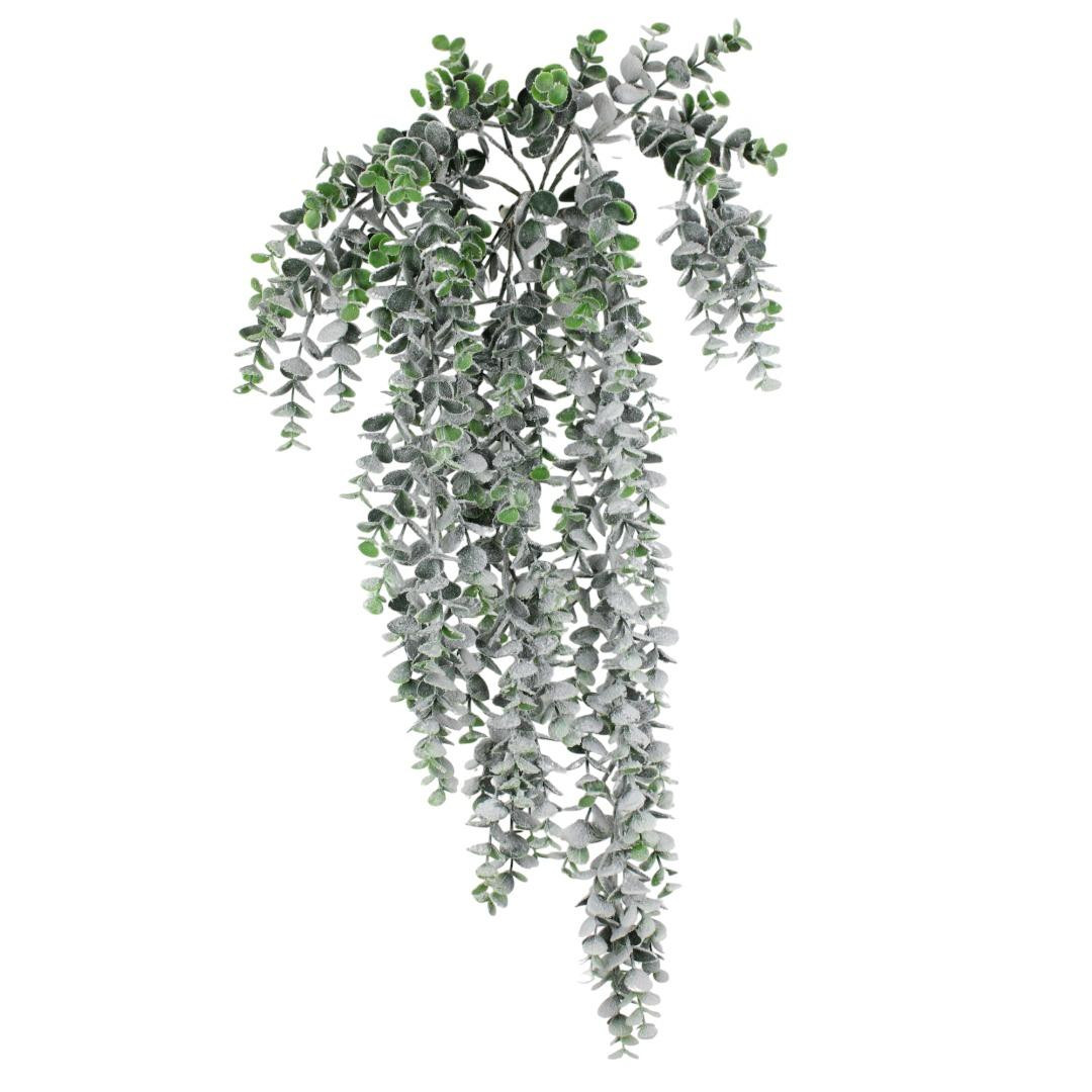 lavender orchid plant The Orchid Garden main image 0