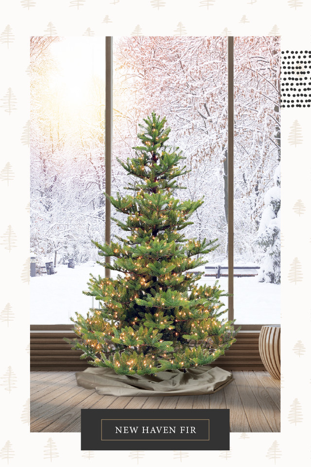 7.5' New Haven Fir Tree-ColorChange 3mm LED - Treetime Christmas
