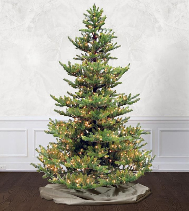 6.5' New Haven Fir Tree-ColorChange 3mm LED - Treetime Christmas