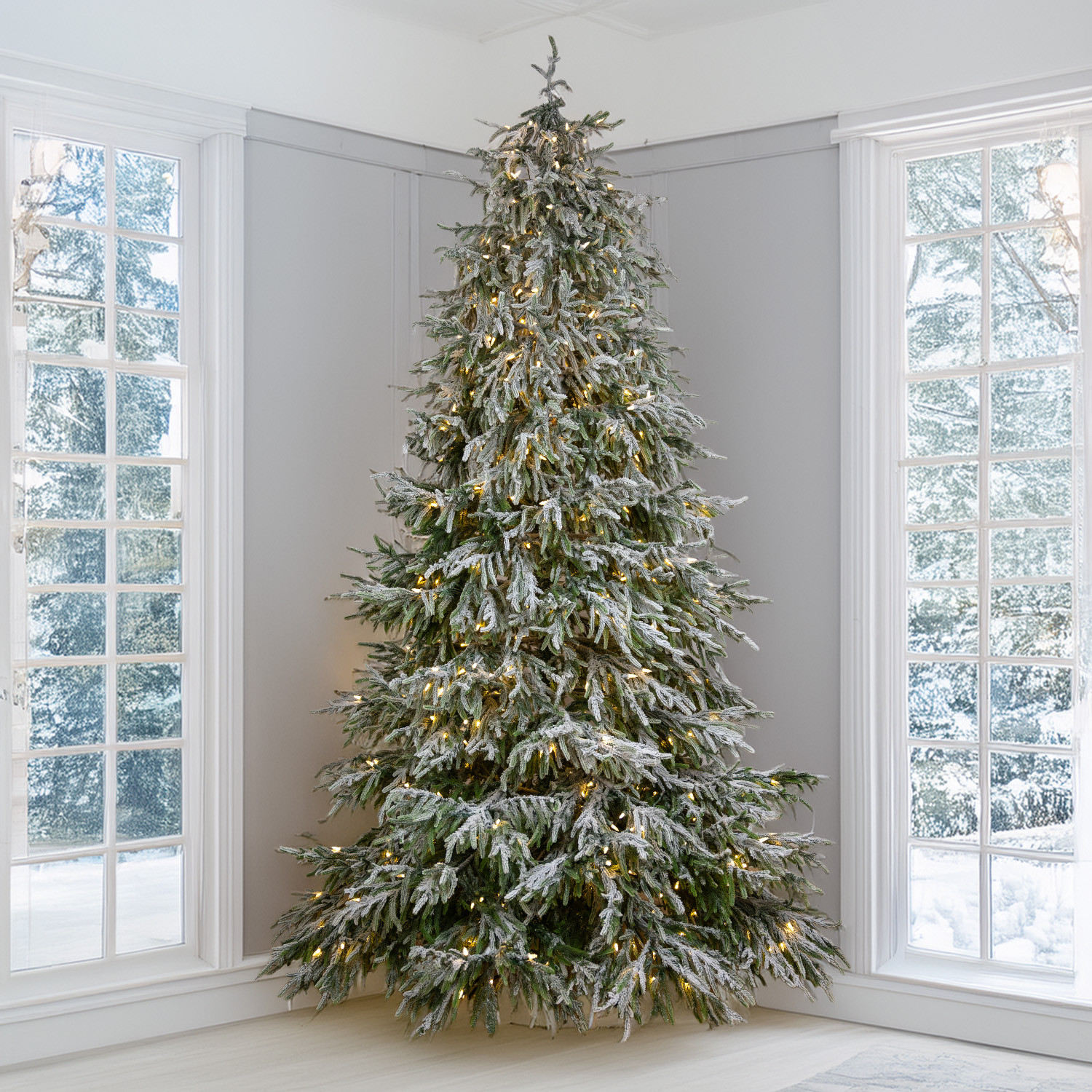 7.5' Frosted Norfolk Pine Tree - CLEAR 5mm LED - Treetime Christmas Creations 7.5' Frosted Norfolk Pine Tree - CLEAR 5mm LED - Treetime Christmas Creations