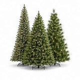 Trees by Family